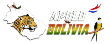 Apolo Bolivia